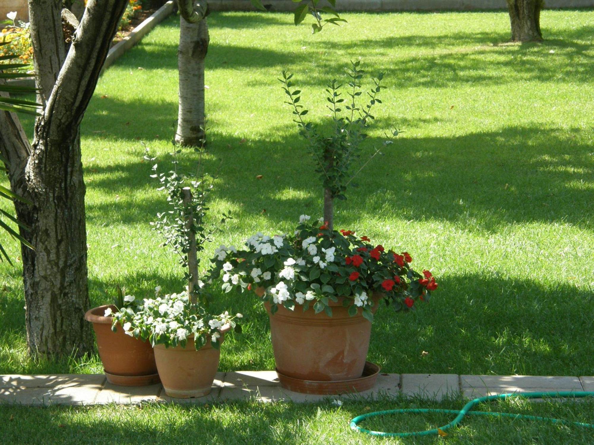 Villa Slavica 1 Vodice Kültér fotó