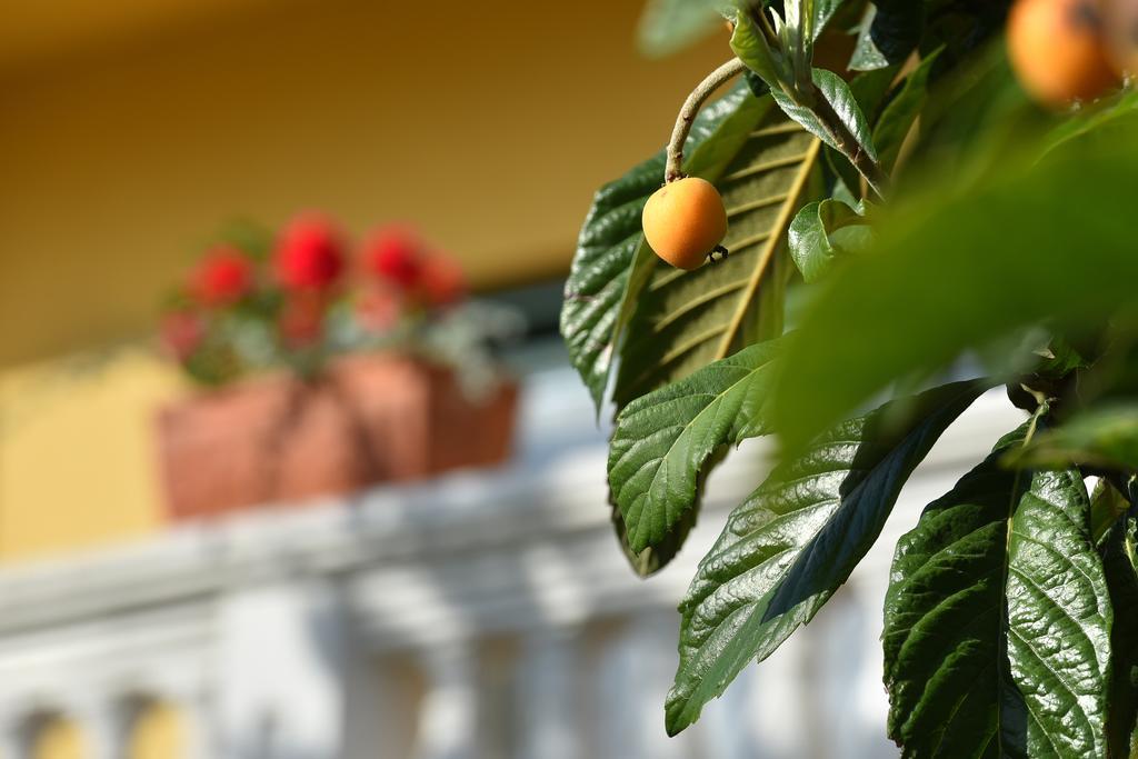 Villa Slavica 1 Vodice Kültér fotó